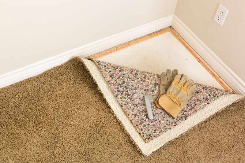 Carpet Replacement detail