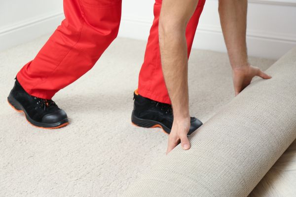Carpet Service in Berkeley