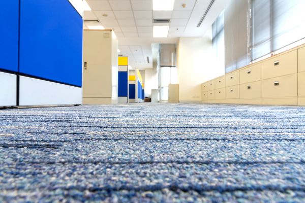 Business Carpet Cleaning in Berkeley
